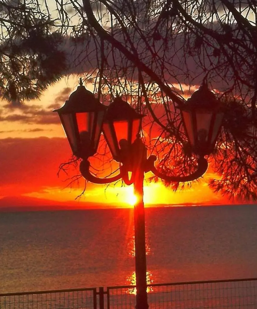 Oasis Luxury Apartments And Rooms Nikiti Greece